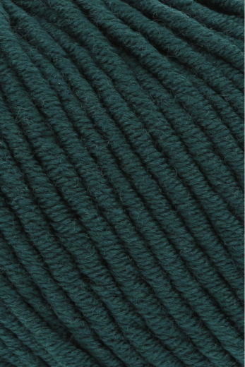 Merino 70 (fb.218)