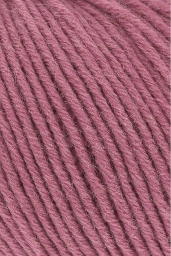 Merino 120 (fb.365)