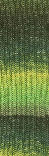 Merino 120 Dégradé (fb.2)