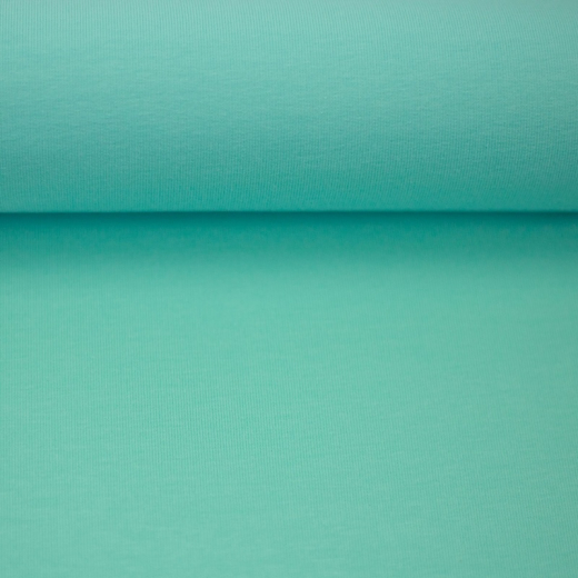 Vanessa Jersey uni mint (fb.261)