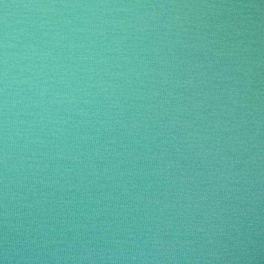 Vanessa Jersey uni mint (fb.261)