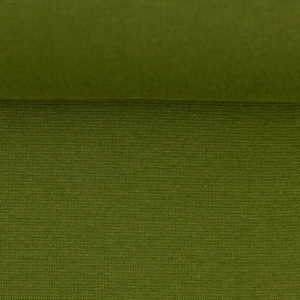 Vanessa *neu* Jersey uni heugrün (fb.604)