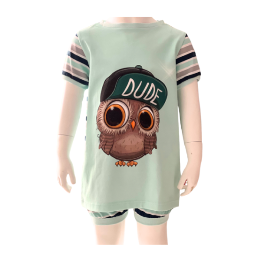 Set aus T-Shirt und kurzer Hose -  Eule Dude Gr. 110