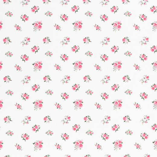 60cm Zuschnitt - Kim Baumwolle Rosen Klein Weiß
