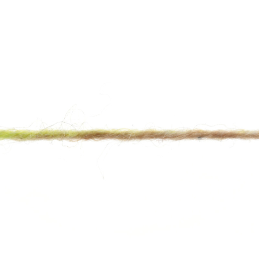 Super Soxx 4-fach Exotik Fruit Soxx Kiwi (Fb. 566) von Lang Yarns