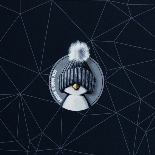 Panel Sweat angeraut on the Rocks  • Piguin • von Thorsten Berger