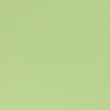 Heike Bündchen Uni Kiwigrün (Fb. 601- FS22)