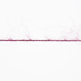 Lace - nelke (Fb. 66)