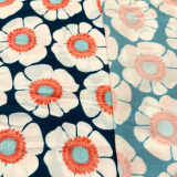 Hilco - Asiana Blossom - Chrysanthemen Hilco - Asiana Blossom - Chrysanthemen