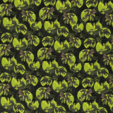 SWAFING • Baumwolle Mystic Daragons by Steinbeck Drachen