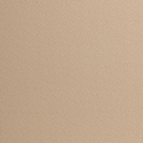 Dotty Baumwolle 2 mm Punkte Ton in Ton Beige