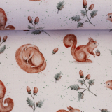 SWAFING • Baumwolljersey Eichhörnchen - Life in the Forest by Christiane Zielinski