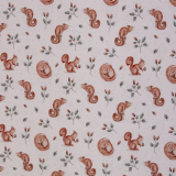 SWAFING • Baumwolljersey Eichhörnchen - Life in the Forest by Christiane Zielinski