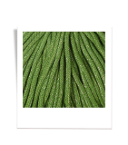 Bobbiny Premium 5 mm Flechtkordeln in Shiny Moss Green