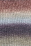 Quattro Dégradé Olive/Braun/Ciel - Fb.17 Quattro Dégradé Olive/Braun/Ciel - Fb.17