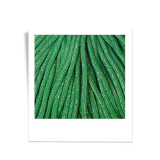 Bobbiny Premium 5 mm Flechtkordeln in Shiny Jade Green Bobbiny Premium 5 mm Flechtkordeln in Shiny Jade Green