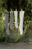 Jawoll Superwash (fb.94) Jawoll Superwash (fb.94)