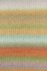 Orion - Regenbogen (Fb. 09) - Chunky Merinowolle