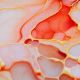 French Terry Flowing Bloom by Sarah Mariam – Liquid Apricot/Koralle