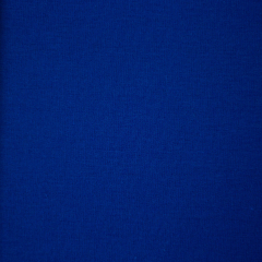 Vanessa *neu* Jersey uni royalblau (fb.254)