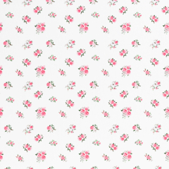 60cm Zuschnitt - Kim Baumwolle Rosen Klein Weiß