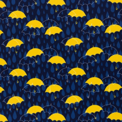Softshell mit Fleece-Innenseite Robin Regenschirme